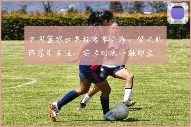 中国篮球世界杯名单公布，梦之队阵容引关注，实力对决一触即发