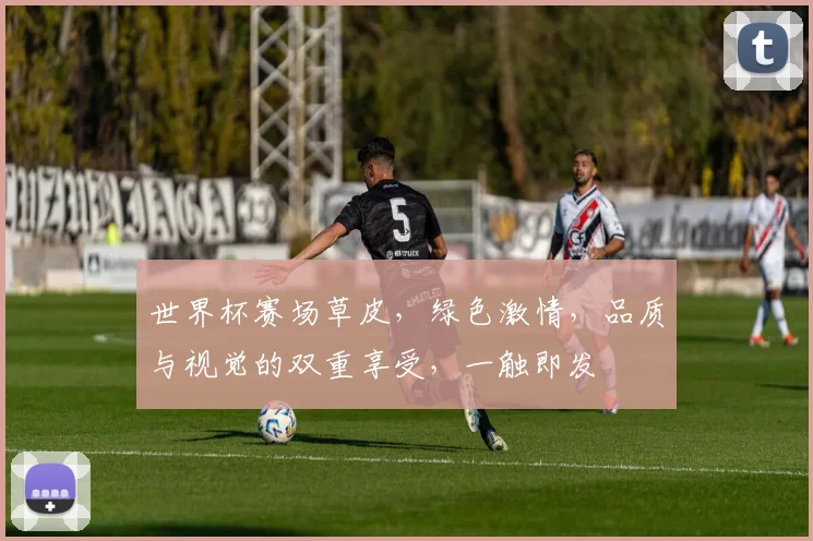 世界杯赛场草皮，绿色激情，品质与视觉的双重享受，一触即发
