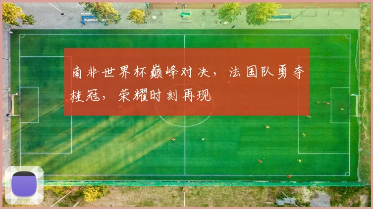 南非世界杯巅峰对决，法国队勇夺桂冠，荣耀时刻再现